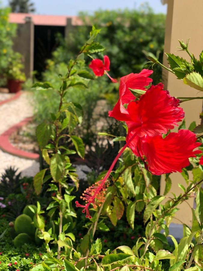 Villa Nemocotier Cap Skirring Dış mekan fotoğraf