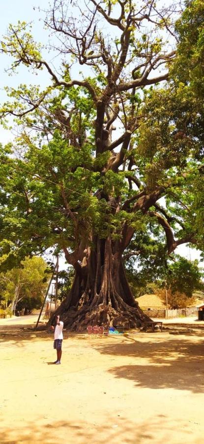 Villa Nemocotier Cap Skirring Dış mekan fotoğraf