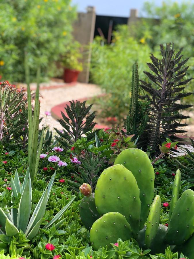 Villa Nemocotier Cap Skirring Dış mekan fotoğraf
