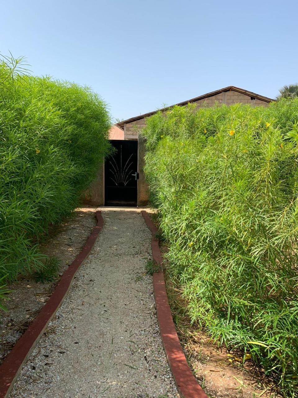 Villa Nemocotier Cap Skirring Dış mekan fotoğraf