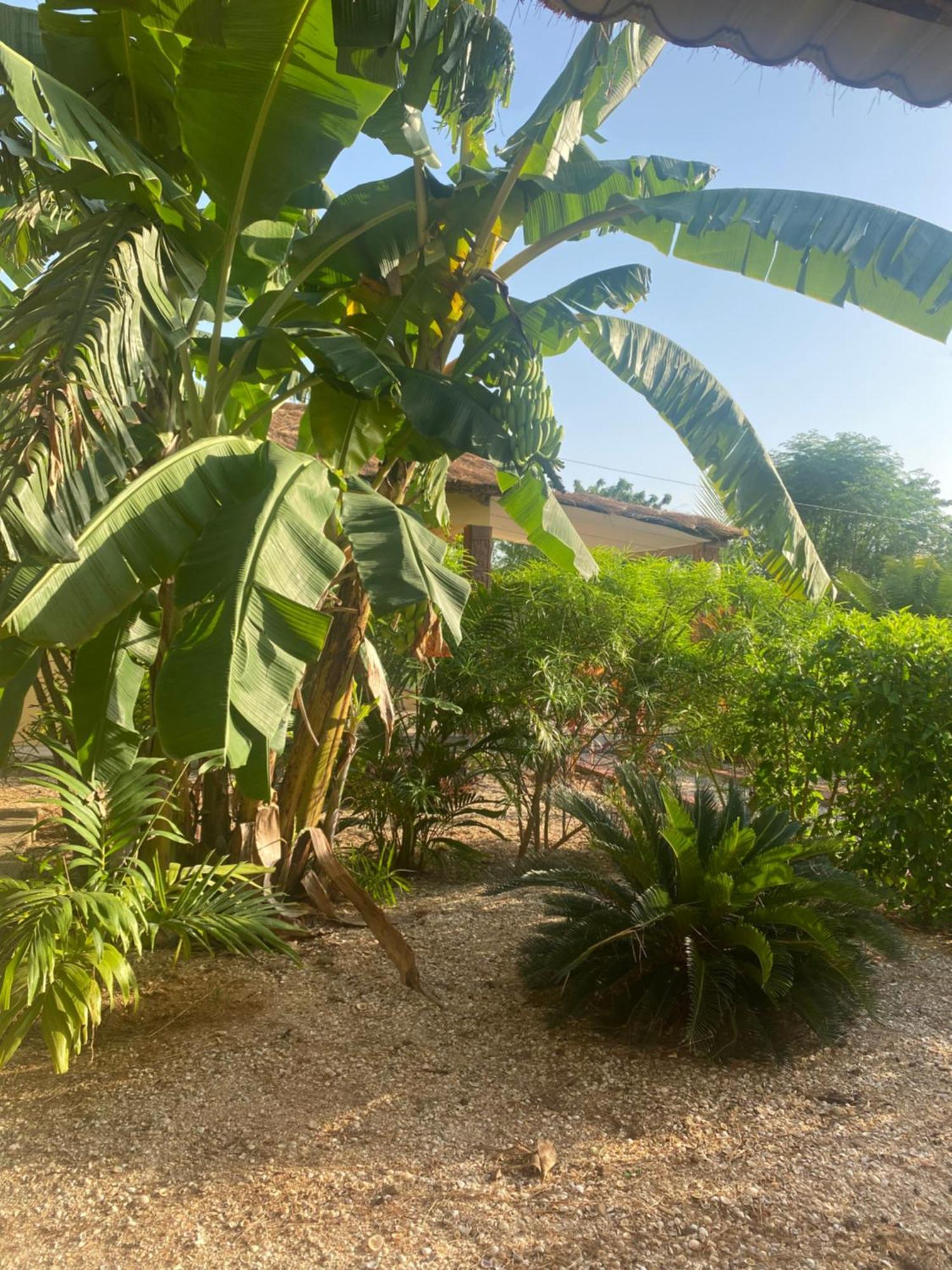Villa Nemocotier Cap Skirring Dış mekan fotoğraf
